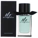 MR. BURBERRY BY BURBERRY 3.3 FL. OZ. EDT SPRAY FOR MEN