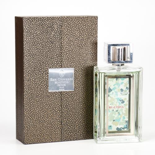 SGBFIMA100TM.jpg BEAUTIFUL IMAGE BY SAN GIOVANNI 3.3 FL.OZ. EDT SPRAY FOR MEN - Image 1
